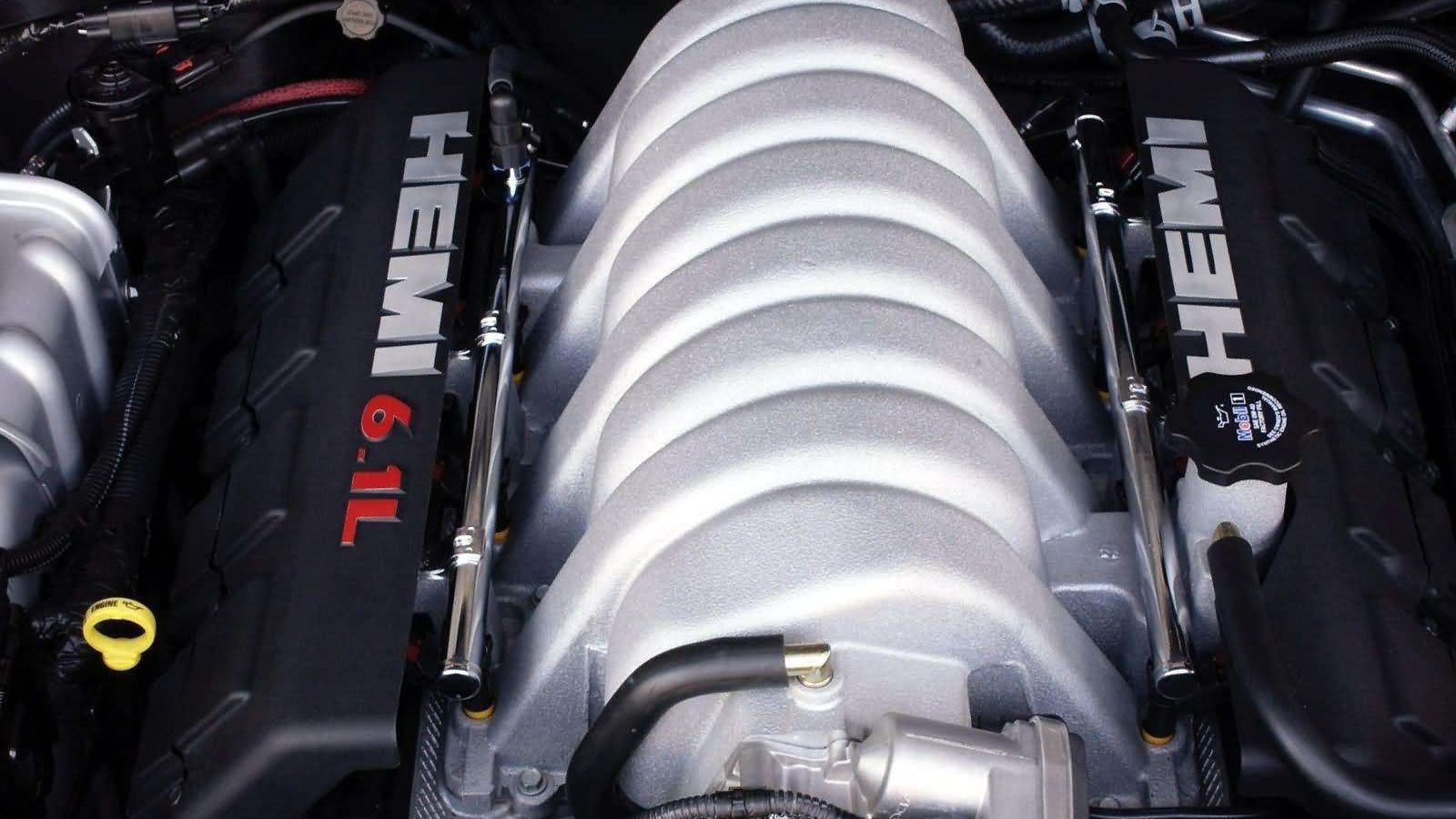 Understanding the Hemi Tick: A Comprehensive Guide