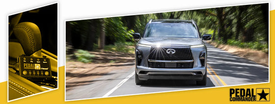 PC51 / Infiniti / QX80 / Z62 Facelift (2018-2024) / (5.6L V8)