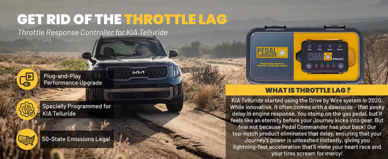 PC71 / Kia / Telluride / 1st Gen (2020+) / (3.8L Lambda II V6)