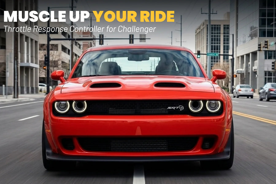 Dodge Challenger 3rd Gen (2008-2023) (3.5L V6 - 3.6L Pentastar V6 - 5.7L HEMI V8 - 6.1L HEMI V8 - 6.2L Hellcat Supercharged V8 - 6.4L HEMI V8)