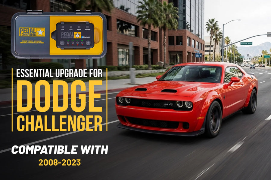 Dodge Challenger 3rd Gen (2008-2023) (3.5L V6 - 3.6L Pentastar V6 - 5.7L HEMI V8 - 6.1L HEMI V8 - 6.2L Hellcat Supercharged V8 - 6.4L HEMI V8)